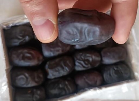 تصویر 3 از خرید بی واسطه خرما مضافتی بلوچستان + کیفیت تضمینی